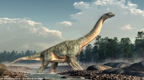 Portogallo: riportati alla luce i resti del “più grande sauropode d’Europa”