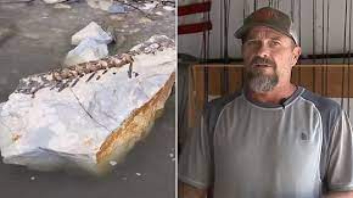 m_Fish-Fossil_Missouri-River-1.jpeg