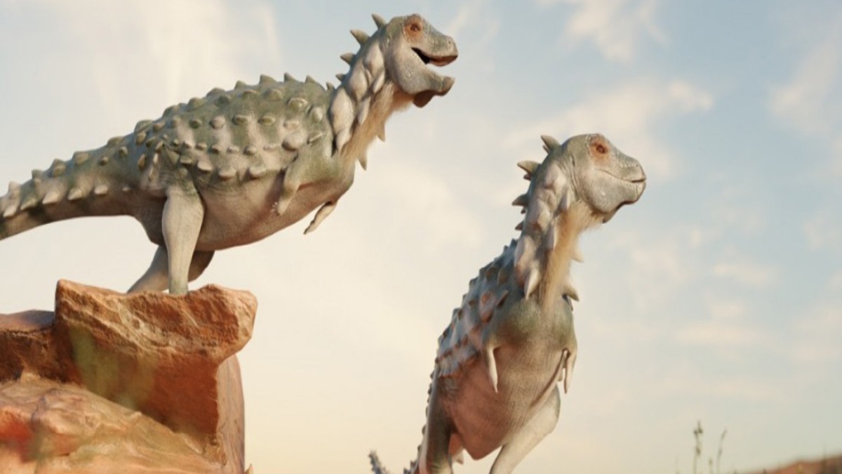 m_IllustrationOfTwoJakapilKaniukuraDinosaurs-1.jpg