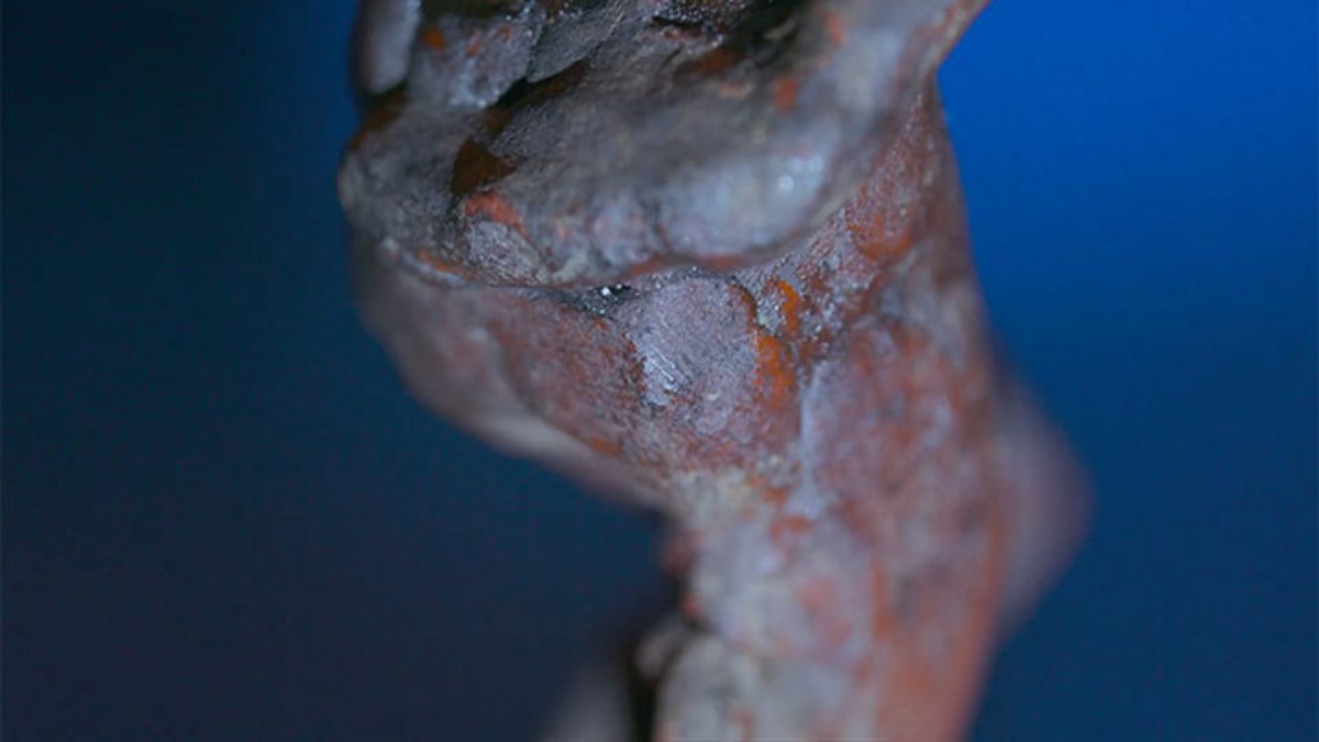 Scoperta impronta digitale di Michelangelo nascosta su una delle sue sculture