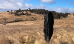 Un curioso oggetto spaziale precipita nel terreno di un allevatore australiano