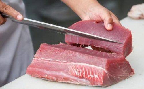 Perché la carne del tonno è rossa?