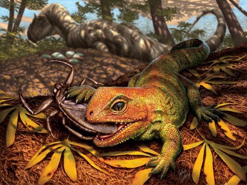 Identificata nuova specie di rettile preistorico che viveva tra i dinosauri