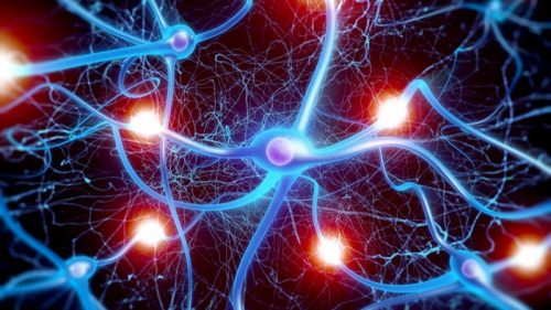 Scoperto un nuovo tipo di sinapsi nel cervello