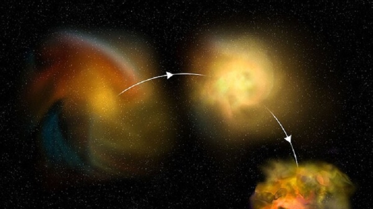 embrioni di stelle