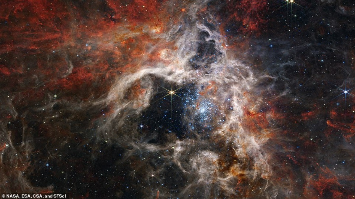 Il James Webb ci mostra migliaia di giovani stelle mai viste prima nella Nebulosa della Tarantola