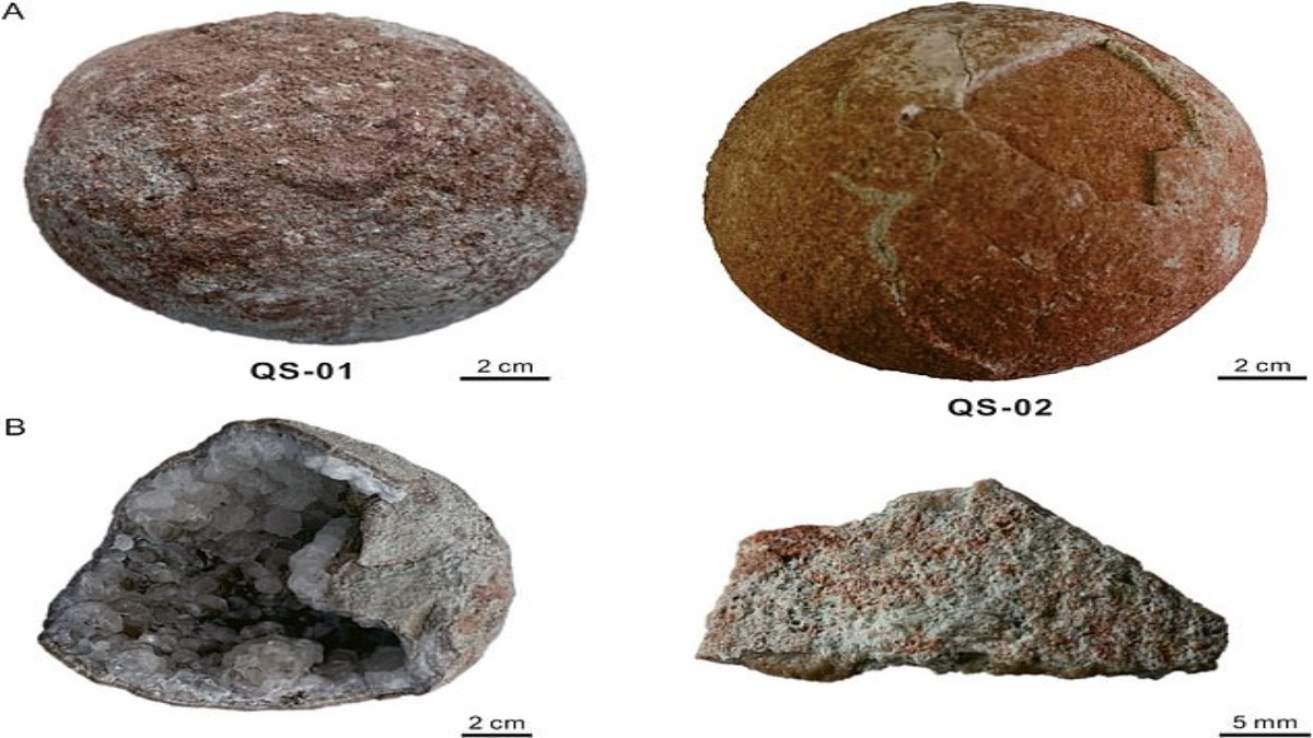 Straordinaria scoperta in Cina: rinvenute due uova di dinosauro risalenti al Cretaceo