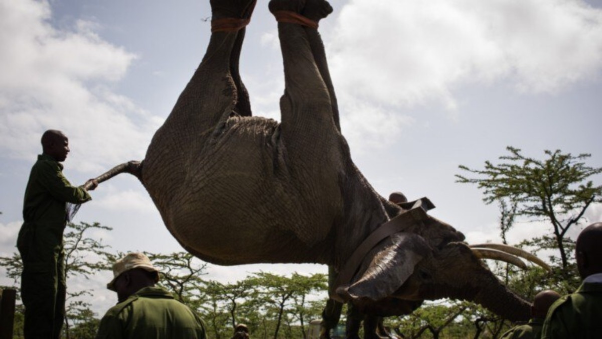 m_kenia_430504a-768x432-1-1.jpg
