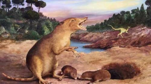 Un animale vissuto 225 milioni di anni fa è il più antico mammifero mai identificato