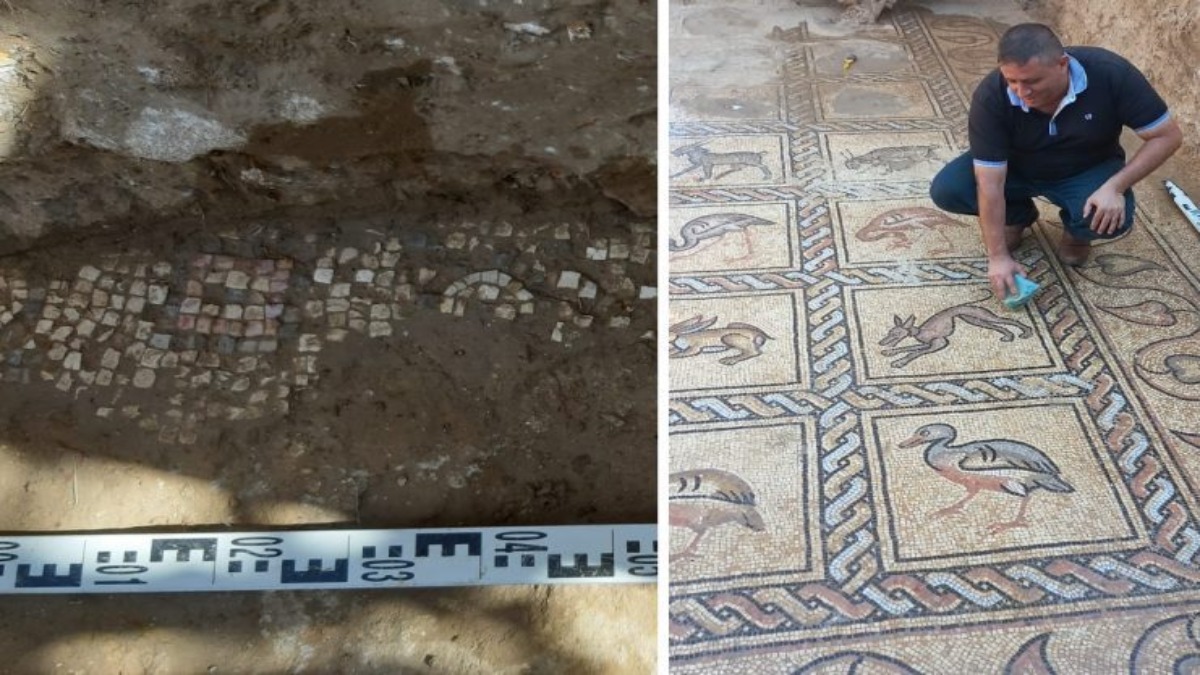 Contadino scopre per caso un bellissimo mosaico di epoca bizantina