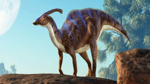 Riportato alla luce un raro fossile di dinosauro completo di pelle