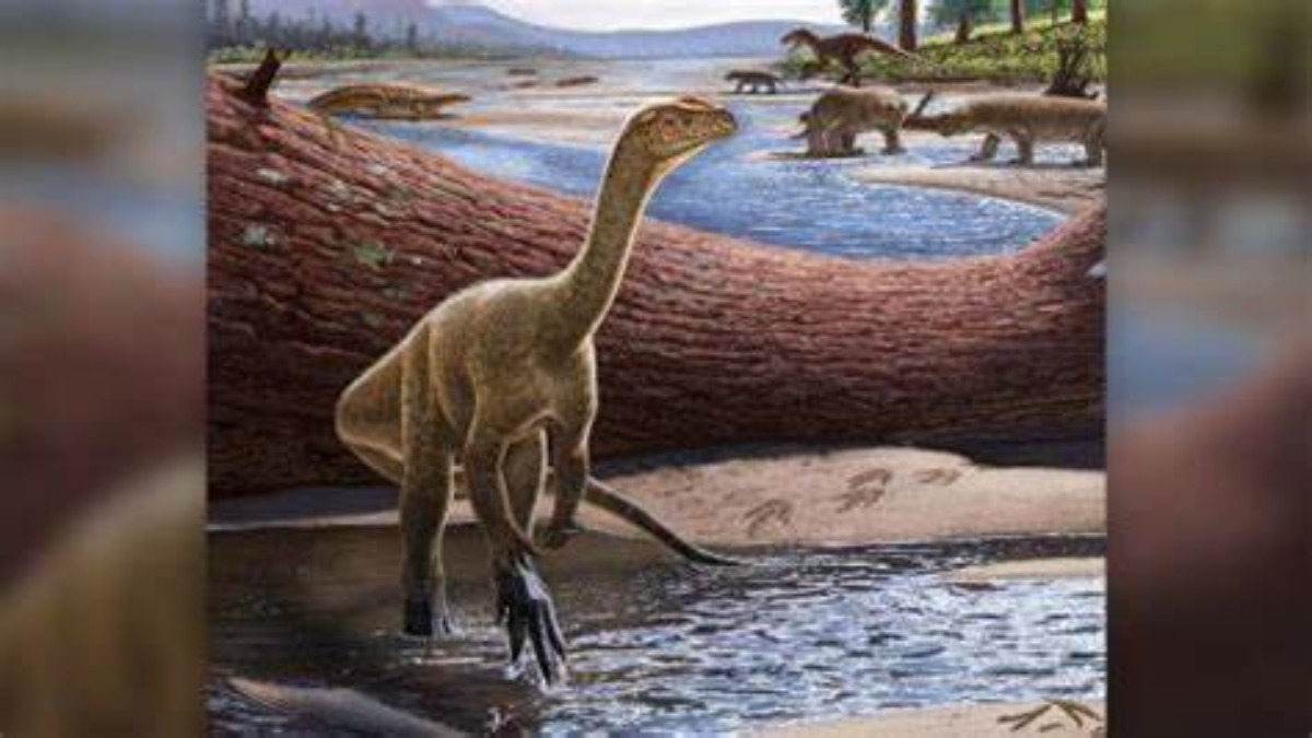Incredibile scoperta: rinvenuto il più antico dinosauro della storia