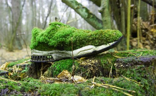 scarpe biodegradabili