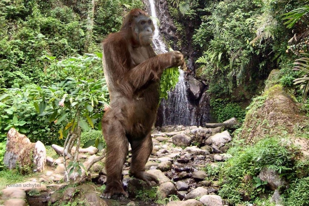 Una gigantesca scimmia popolava il nostro pianeta
