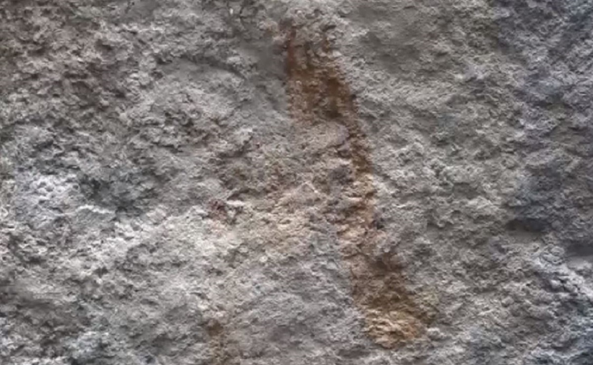 scoperta-arte-rupestre-1.jpg