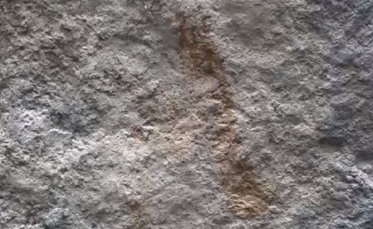 Scoperti esempi di arte rupestre sul Cammino Inca che attraversa il Parco Archeologico di Machu Picchu
