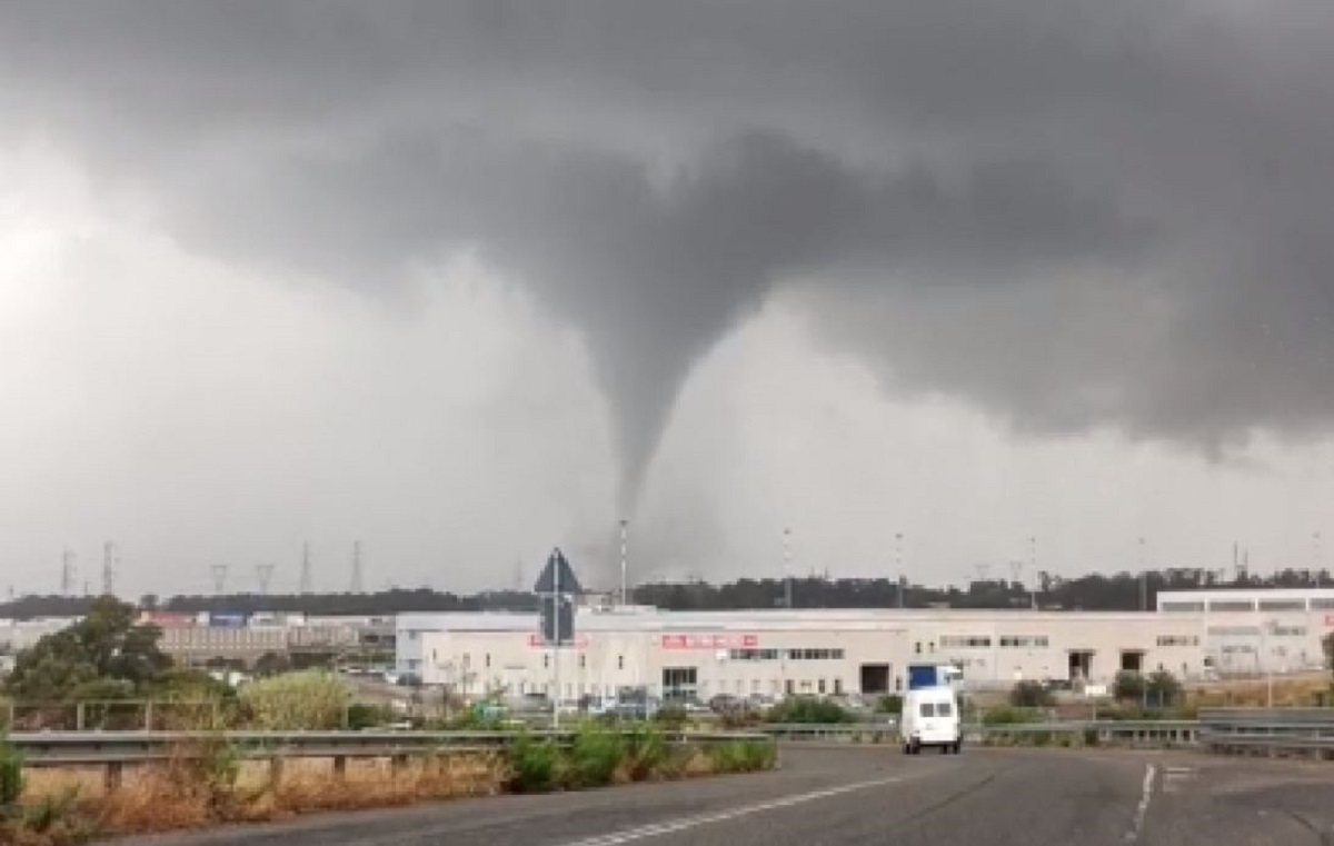 Disastro maltempo, enorme tornado a Civitavecchia: molti alberi sradicati