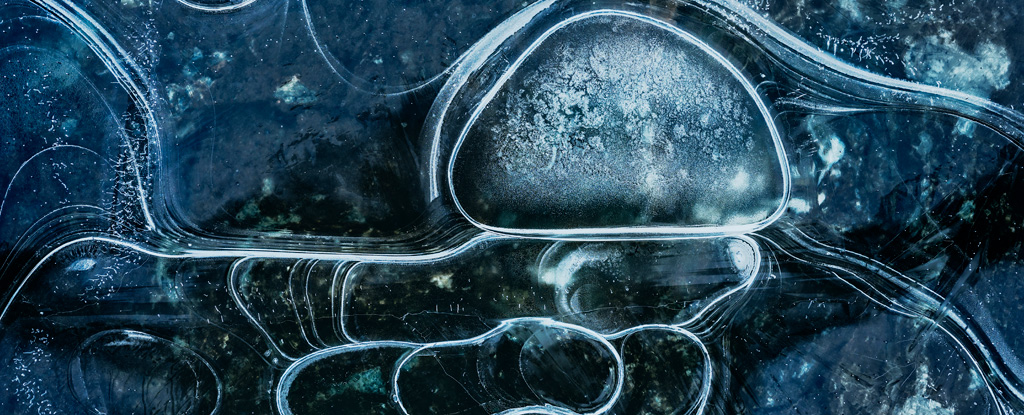 Virus giganti stanno infettando le alghe in un raro ‘lago galleggiante’ nell’Artico