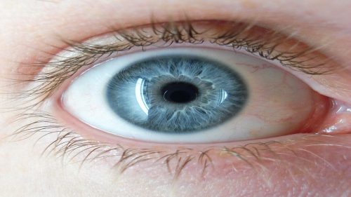 Le persone con gli occhi azzurri hanno un unico antenato in comune
