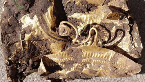 Contadino scopre per caso una straordinaria cintura d’oro decorata dell’età del bronzo