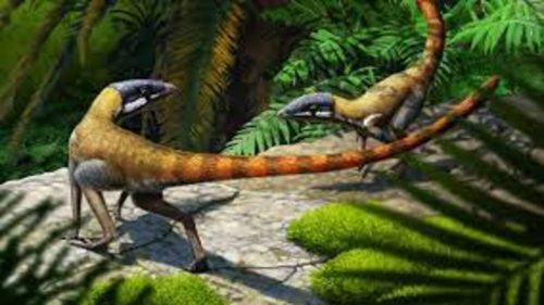 Rinvenuto fossile di un piccolo rettile strettamente imparentato con gli pterosauri