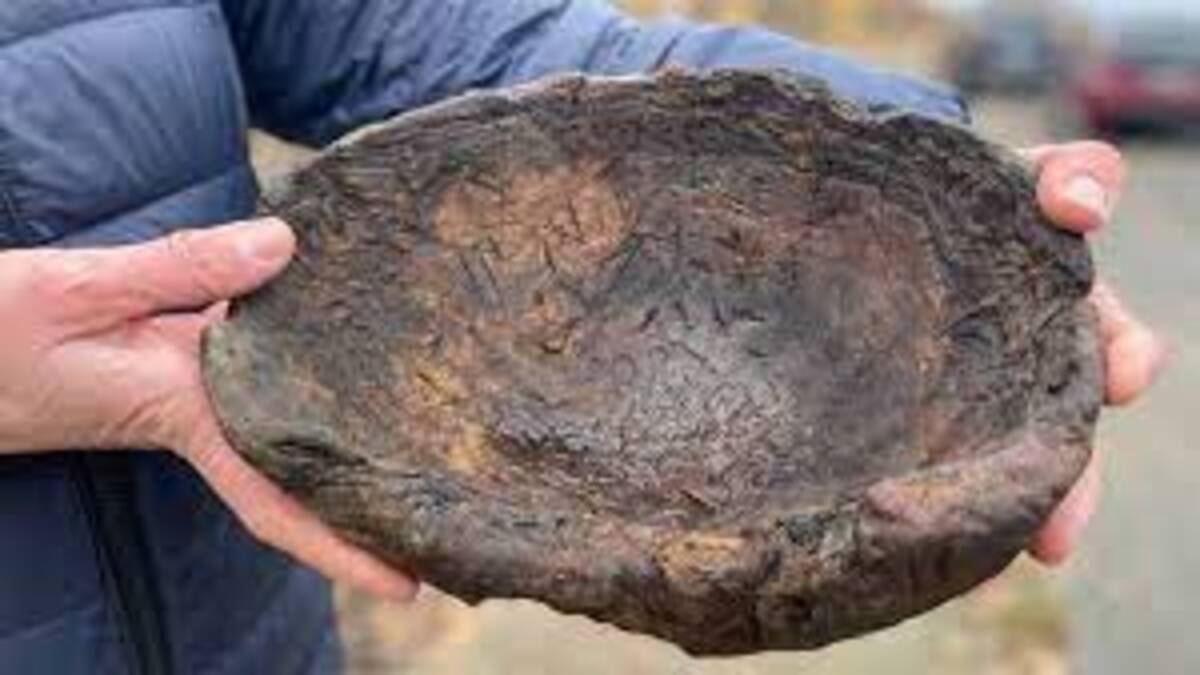 Incredibile scoperta: bambino trova rara ed antica ciotola di legno vichinga