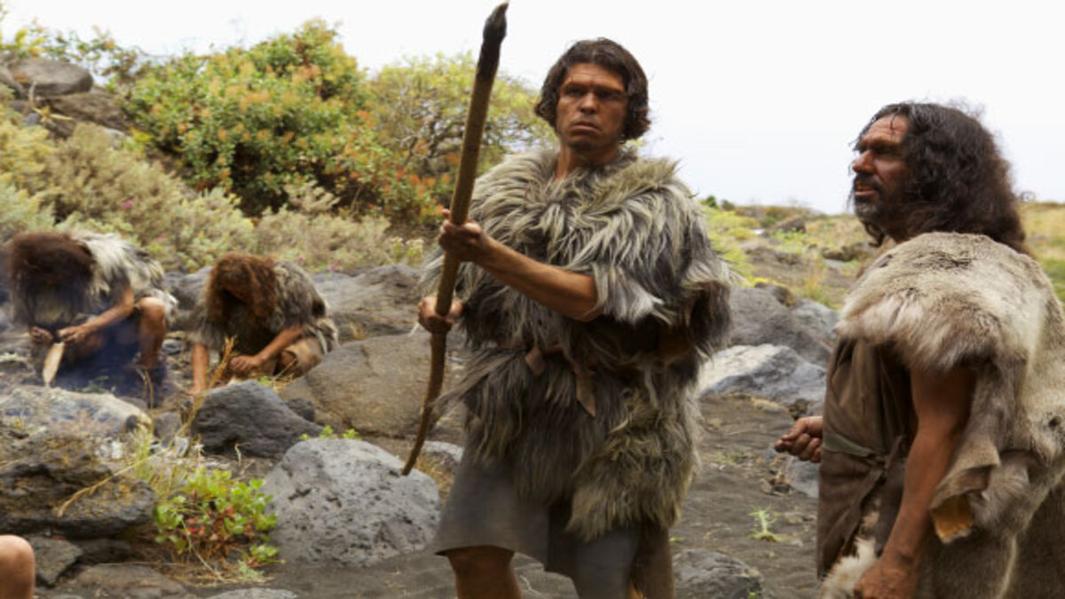I Neanderthal sapevano produrre la farina: le prove in Italia
