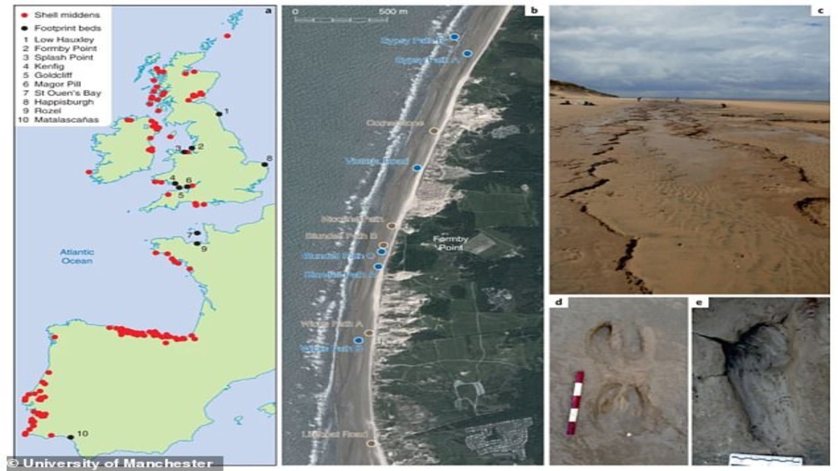 m_63047287-11274419-Hundreds_of_ancient_animal_and_human_footprints_found_on_a_beach-a-1_1664789572375-1.jpg