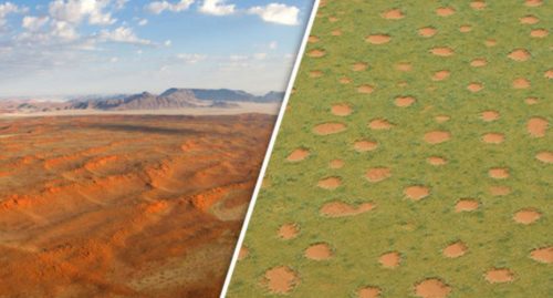 Il mistero dei ‘cerchi delle fate’ in Namibia. Qual è la loro origine? Ecco la verità