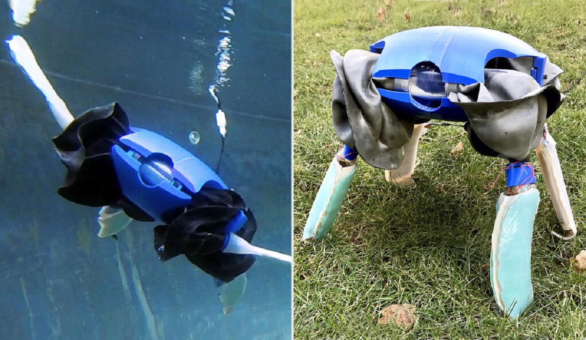 Inventato il primo robot anfibio ispirato alle tartarughe marine e terrestri [VIDEO]