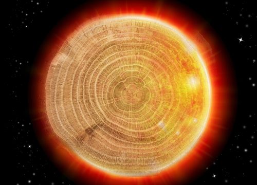 Anelli di alberi secolari raccontano di una tempesta cosmica che si verifica ogni 1000 anni