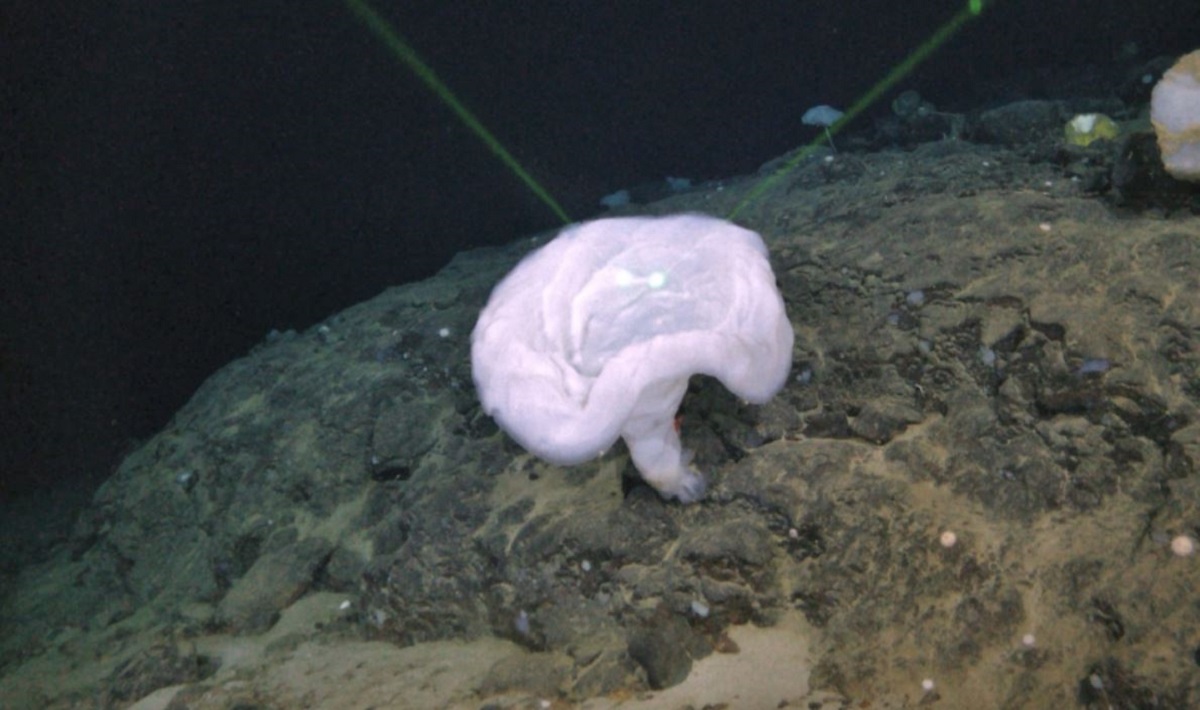 titanic-misterioso-oggetto-1.jpg