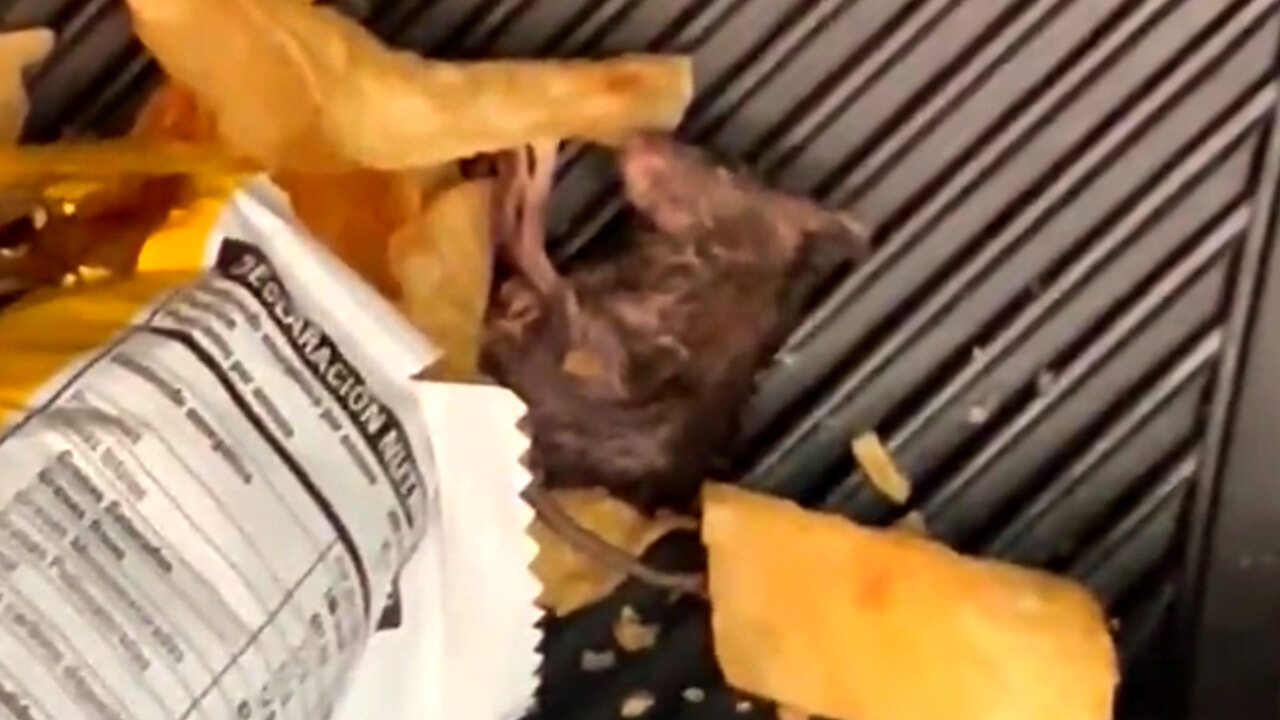 Scopre un topo nel pacchetto delle patatine: il filmato shock