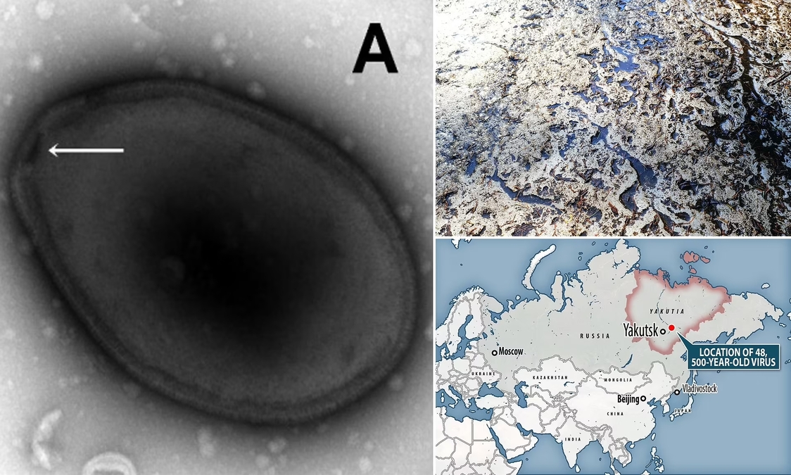 Antico virus trovato nel permafrost siberiano  rianimato dopo 48.500 anni