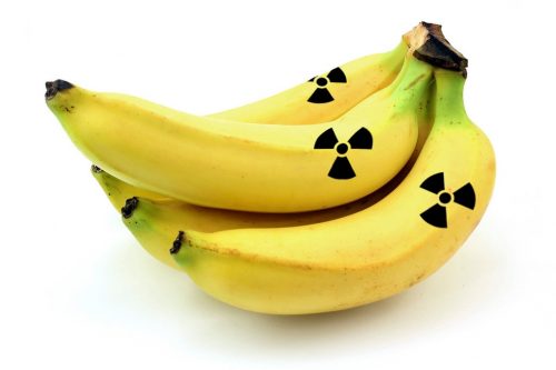 Le banane sono davvero radioattive? La risposta degli scienziati