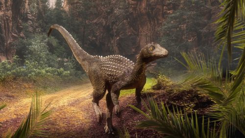 Nuova specie di ‘dinosauro nano’ scoperto in Romania