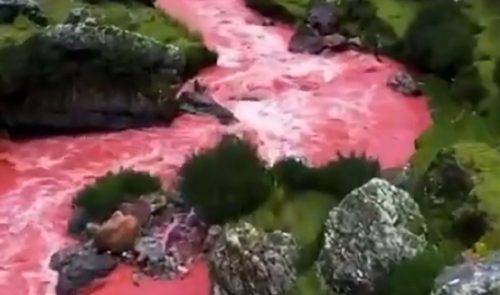 Il mistero del fiume rosso in Perù, gli esperti spiegano cosa colora le sue acque: il video
