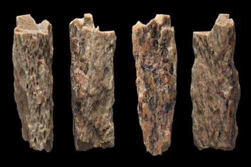 Trovato frammento osseo di una bambina di 50.000 anni fa, metà Neanderthal e metà denisoviana. E’ la prima volta