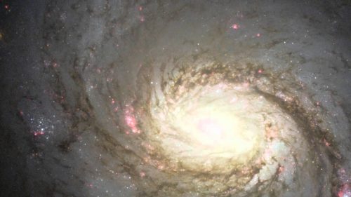Rilevata flusso record di ‘particelle fantasma’ provenienti dal centro di Messier 77
