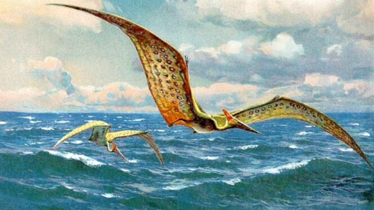 Scoperti i resti di una nuova specie di pterosauro