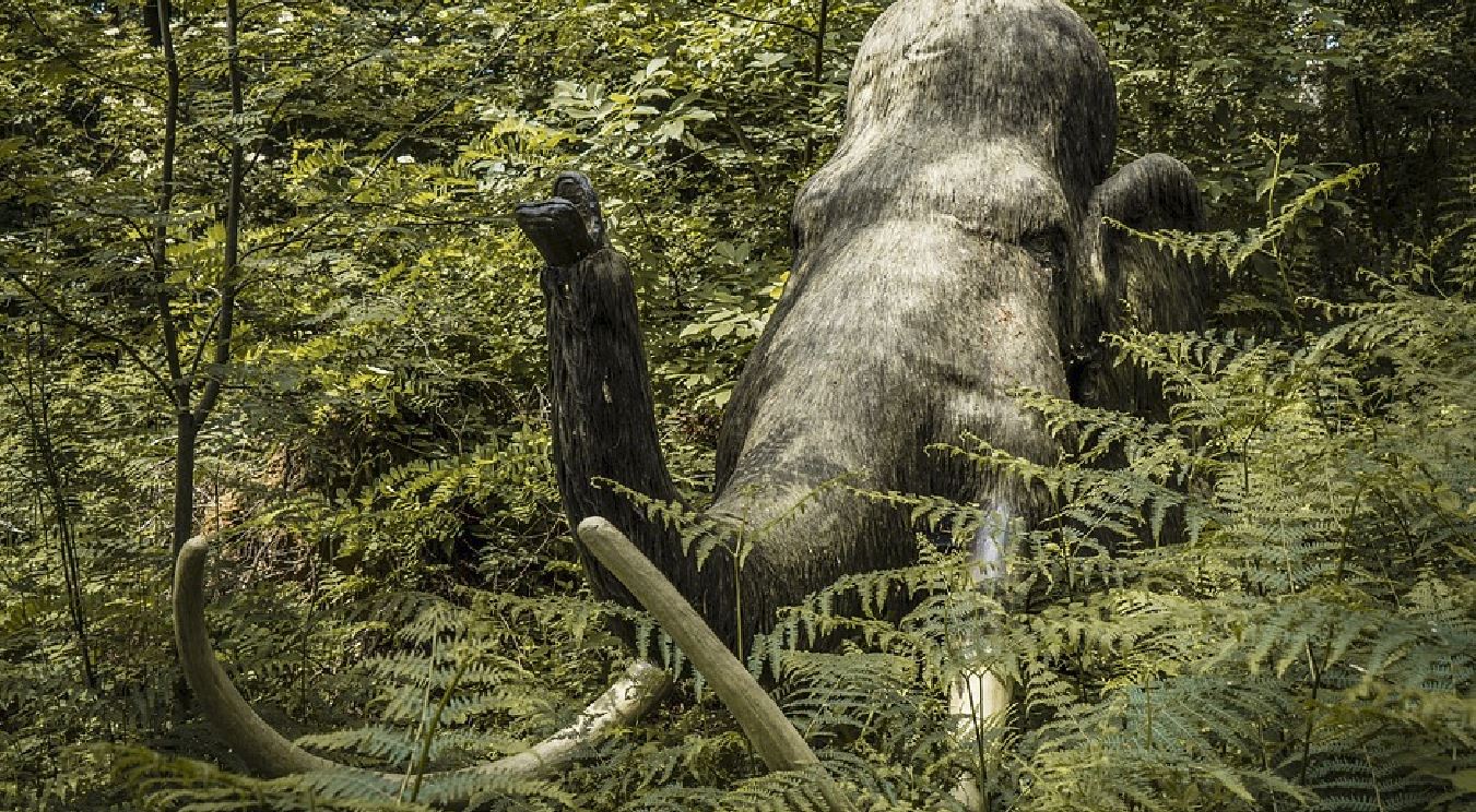 mammut-1.jpg