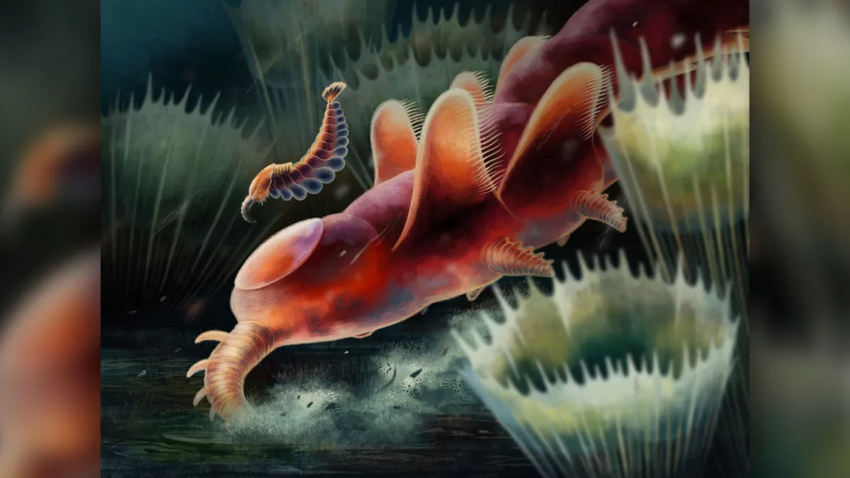 Scoperti resti fossili di bizzarre creature marine vissute prima dei dinosauri