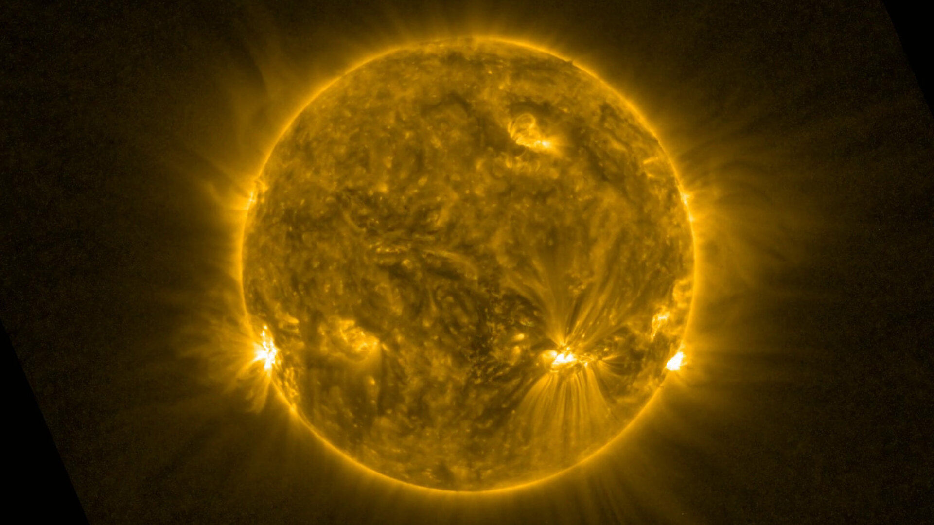 sole-1.jpg