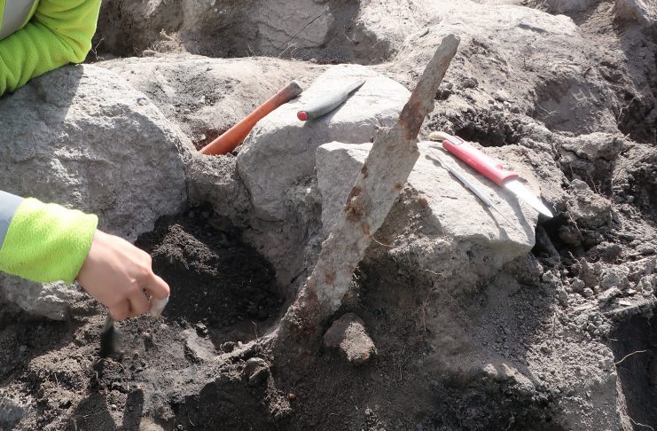 Due spade vichinghe scoperte in Svezia. Risalgono ad oltre mille anni fa