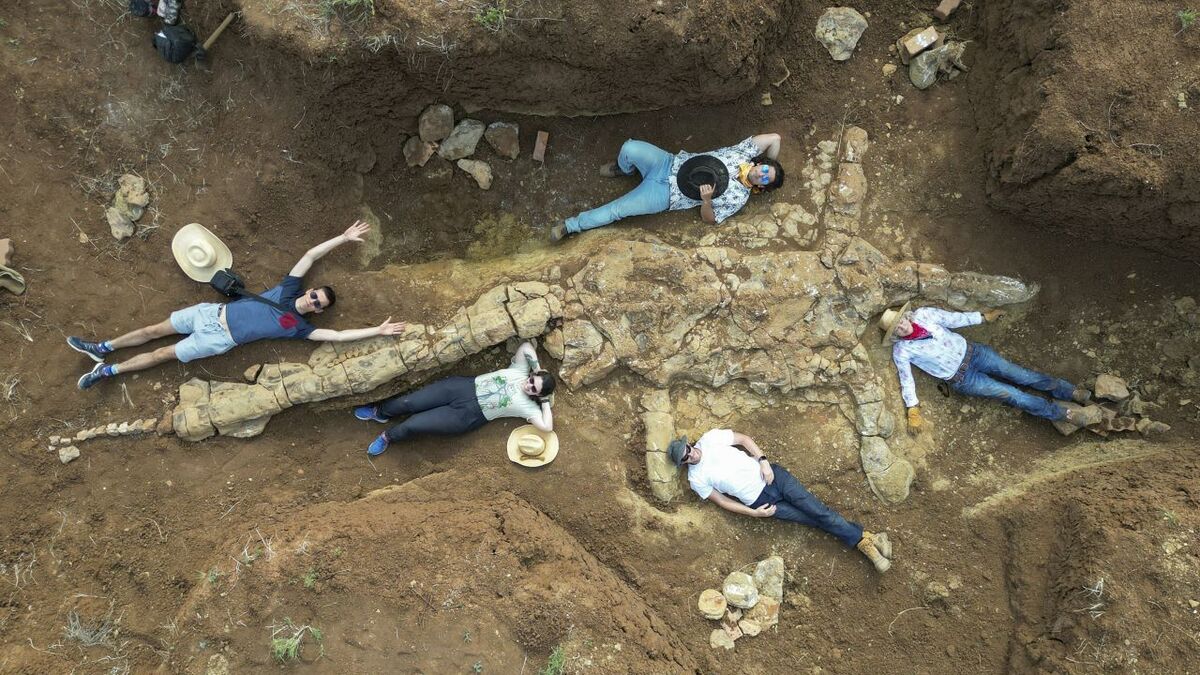 Australia: scoperto scheletro completo di un grosso rettile preistorico