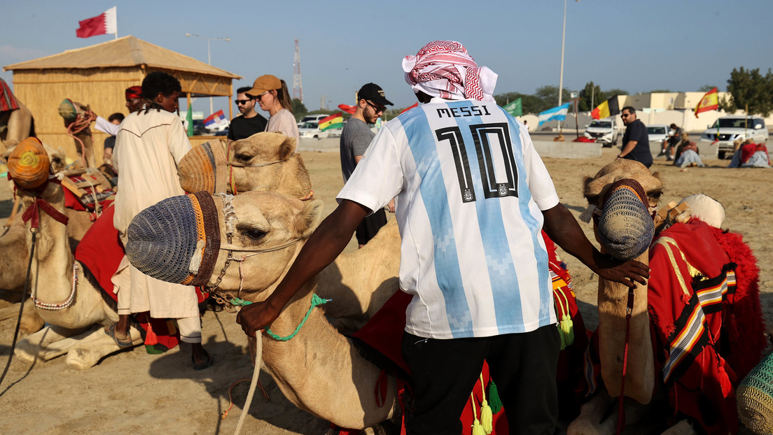 OMS: rischio influenza del cammello per i tifosi che tornano dal Qatar