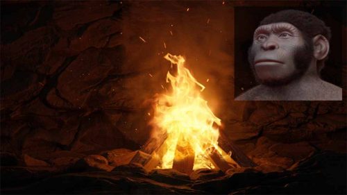L’Homo Naledi potrebbe aver usato il fuoco per cucinare e vedere nel buio