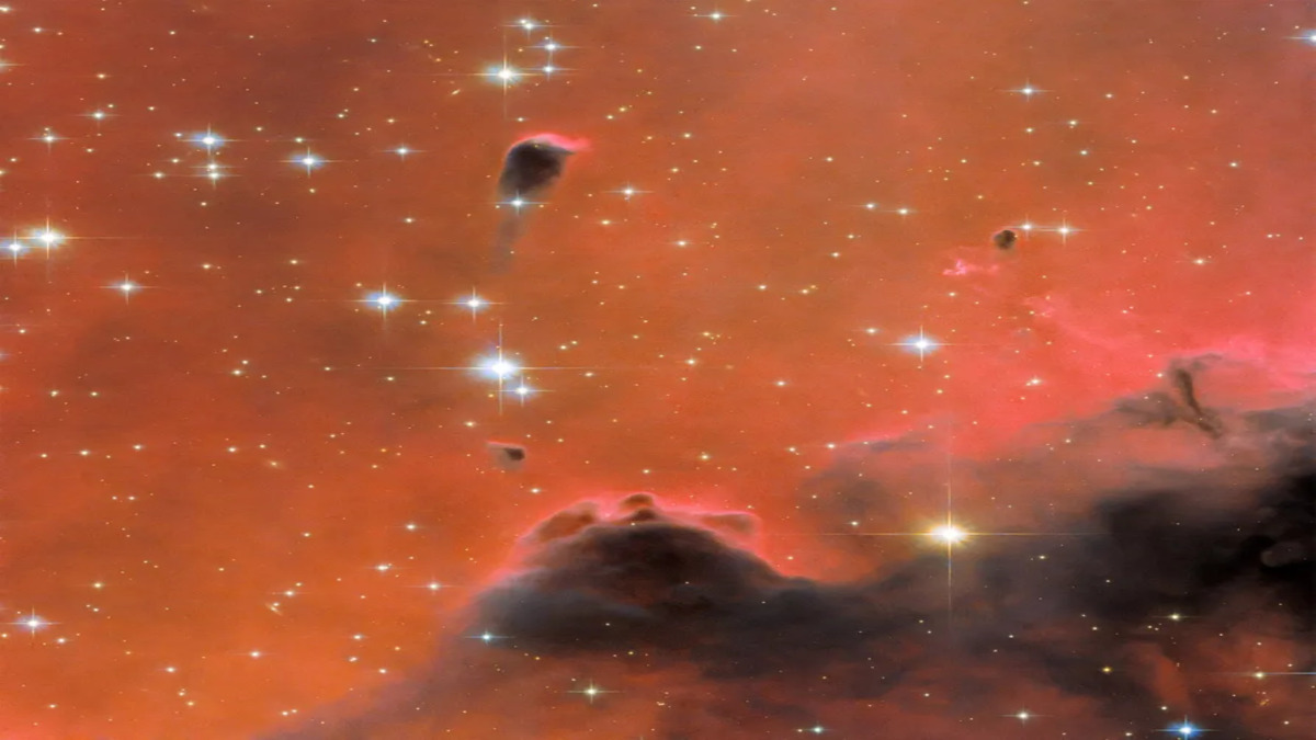 Hubble ci mostra la nebulosa Westerhout 5 in una spettacolare immagine