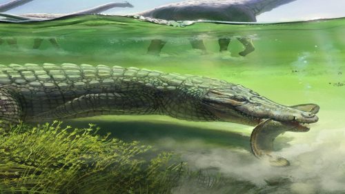 Brasile: identificato un mostruoso rettile che visse insieme ai dinosauri