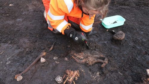 Resti di possibili sacrifici umani di 5.000 anni trovati in Danimarca